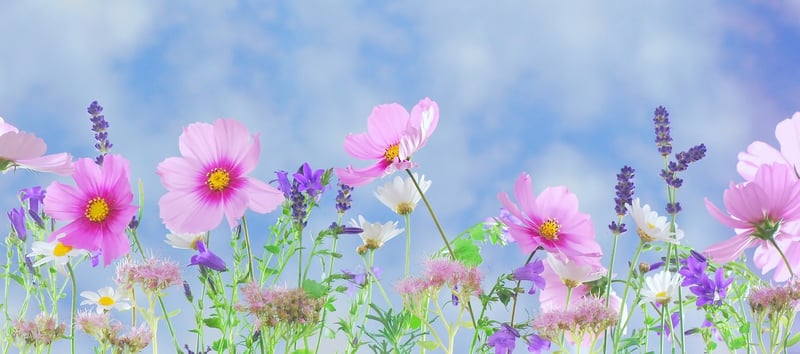 Mystical Flora