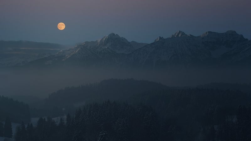 Moonlight Garden